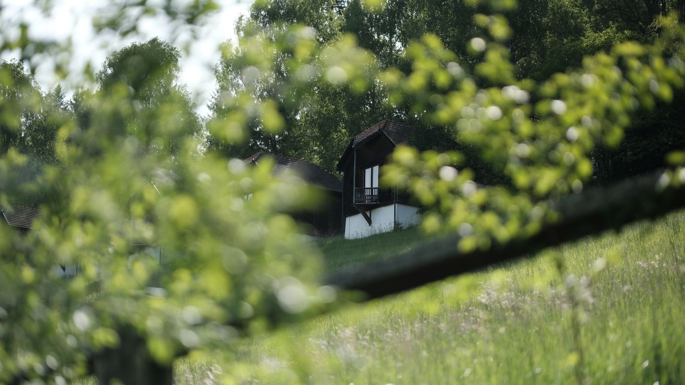 agathenhof_entdecken